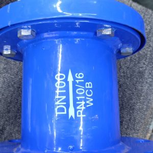 Blue Flanged Check Valve