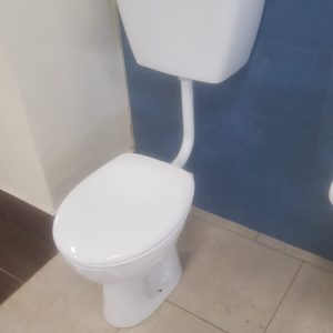White Toilet with Raised Cistern
