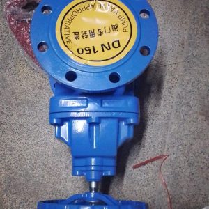 Blue Flanged Valve