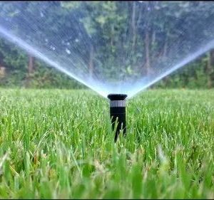 Garden Spray Sprinkler