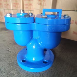 Blue Twin-Chamber Flanged Valve