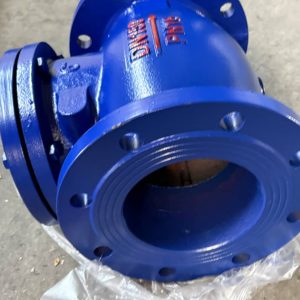Blue Flanged Pipe Joint