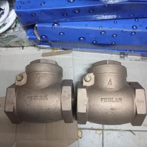 1" None Return Valve