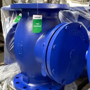 Blue Flanged Check Valve with Round Cover