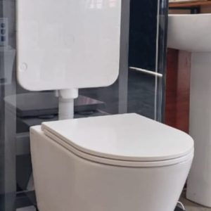 White Toilet with Tall Cistern