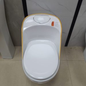 White Toilet with Cistern