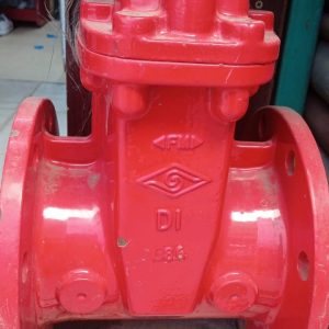 Red Flanged Valve