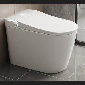 White Toilet with Concealed Profile