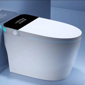 Toilet with Display Panel