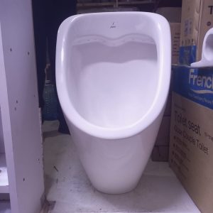 Wall-Mounted Urinal